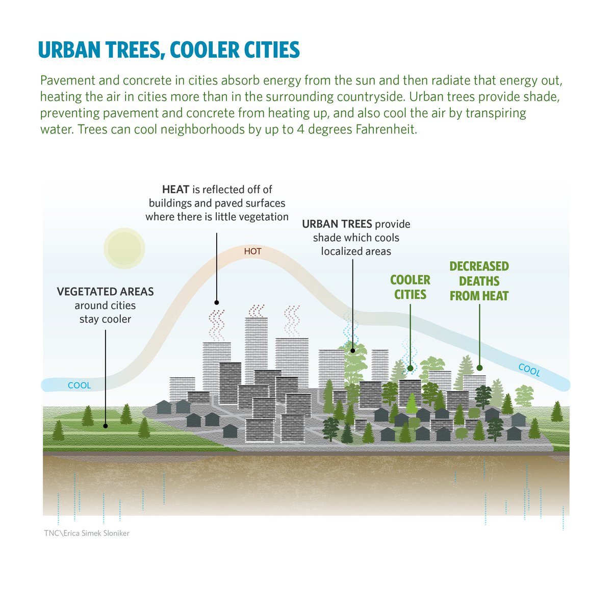 nature_org's tweet photo. Planting more trees can make cities cooler &amp; safer for all populations, writes @PascalMitter. https://t.co/LX3IpwyKcX https://t.co/576ihhSiRU