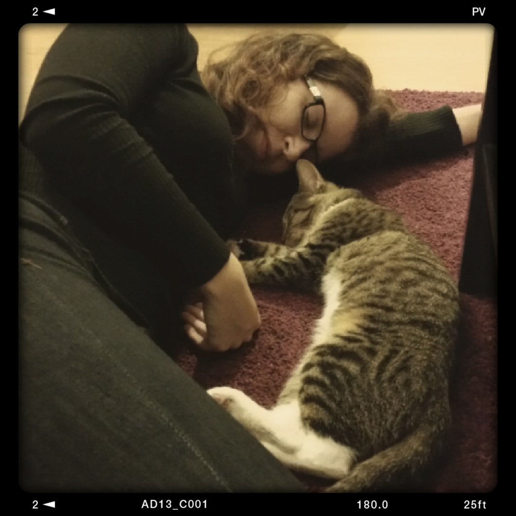aCatNamedArya's tweet photo. napping with my human #LazinessIn4Words https://t.co/8HrDDP8qto