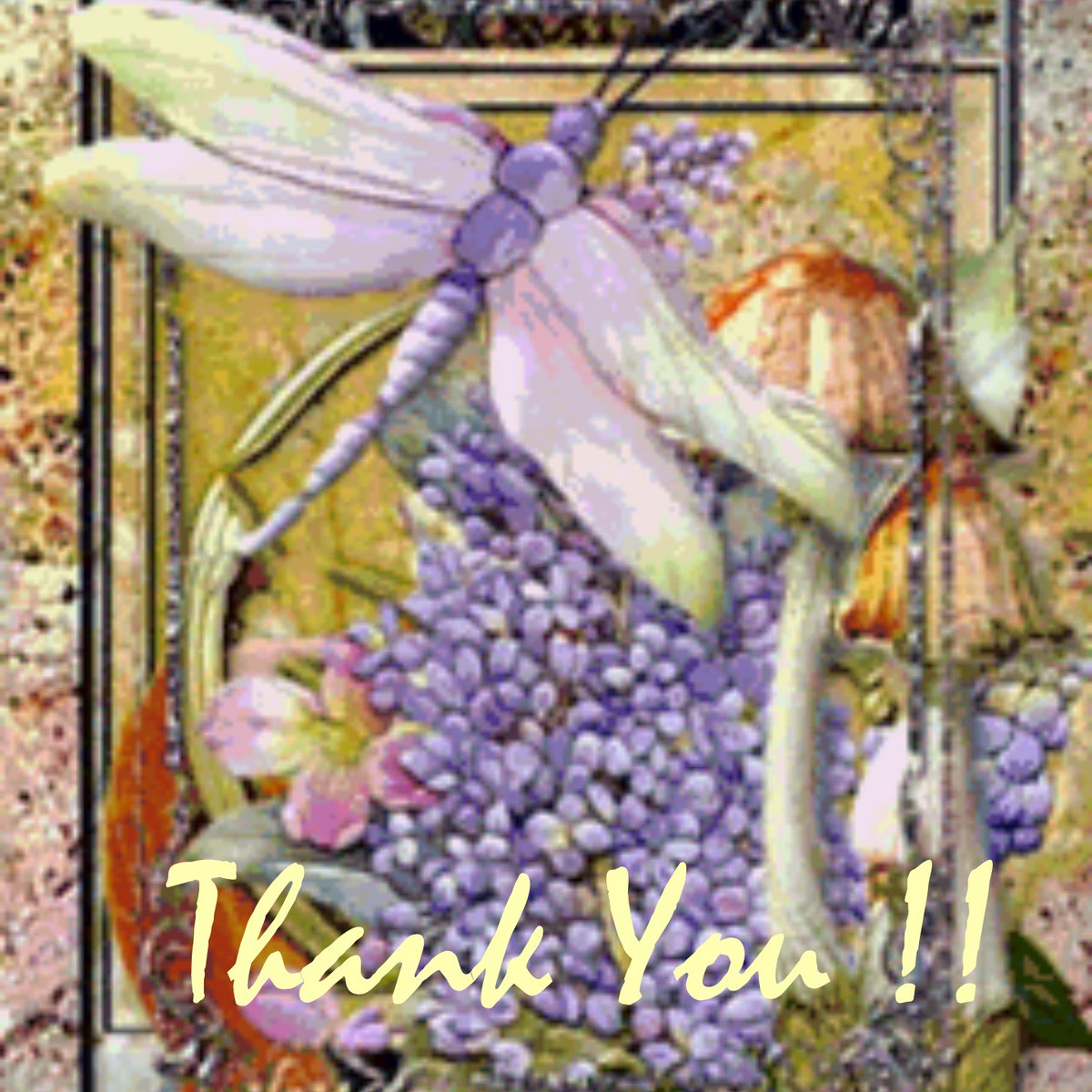 Tammysdragonfly's tweet photo. Thanks to my top interactors!!  @marylolagouge @barbiesway @safonova_ag @HarveyBurgess @LanceCrossfire @hughesedits4u Have a fantastic day!! https://t.co/Q2Kldtx7yP