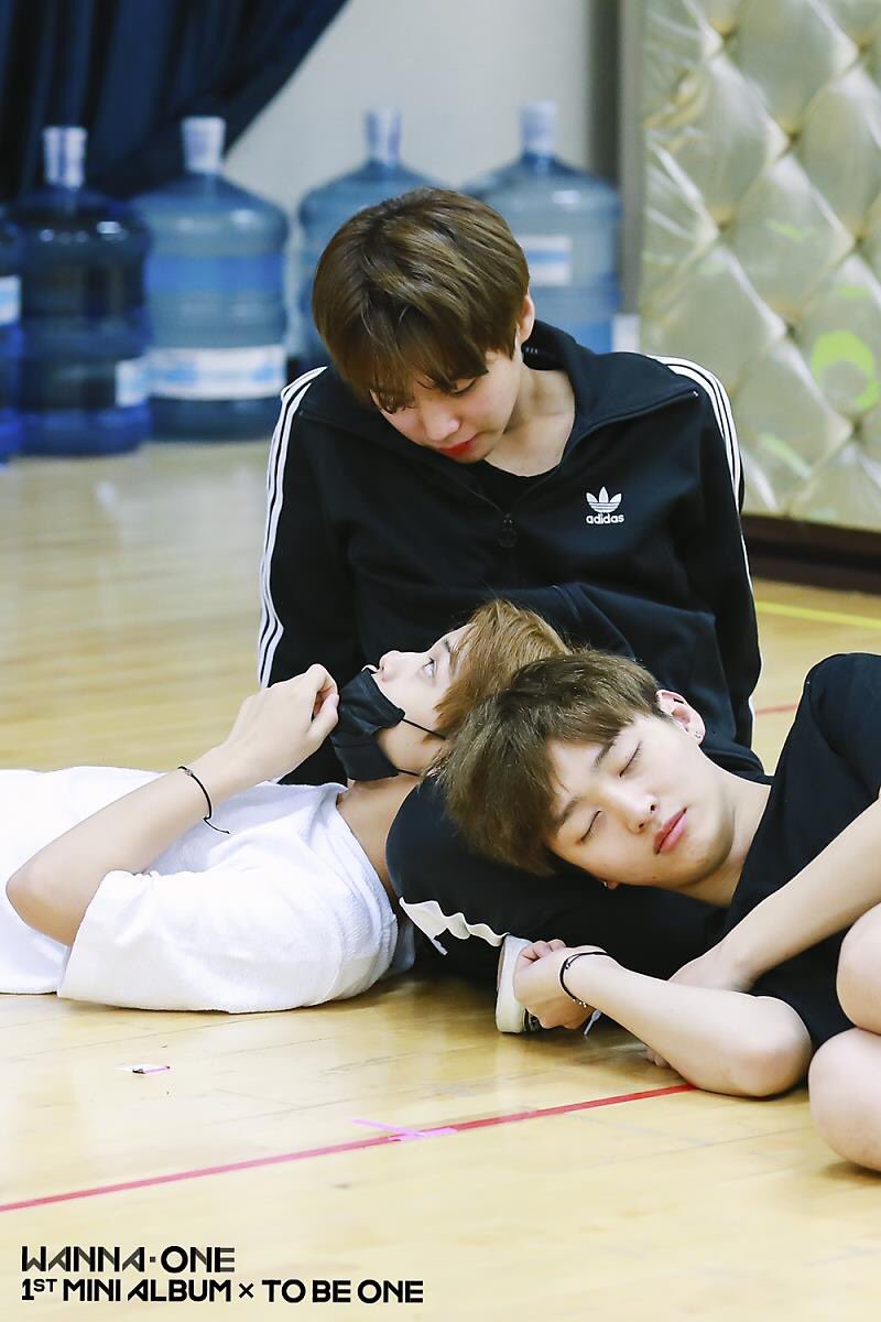wannaonecouples's tweet photo. jihoon and jinyoung ♡ (ft.jisung) https://t.co/rKpnDwmhFX