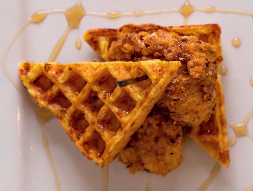 BANJO'S on Twitter "🎶 It's Live on the Green folks! A favorite for