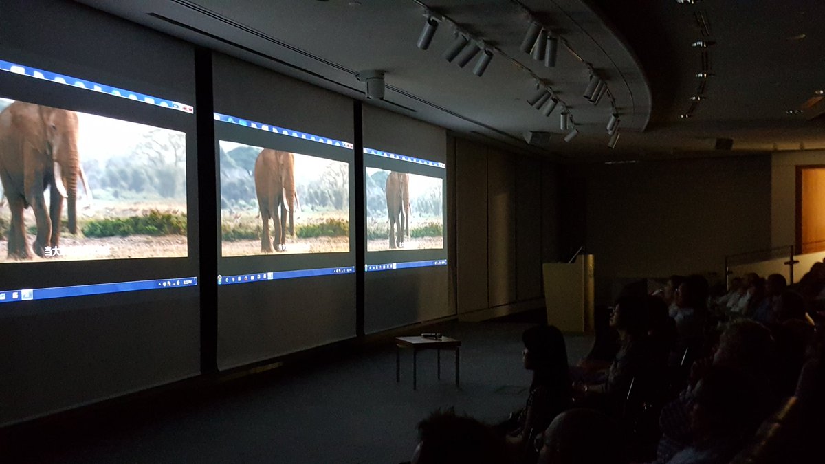 RGS_HK's tweet photo. RGS HK Film Screening of the Ivory Game with 500+ Members, guests and School Outreach students https://t.co/K5t5yH4Vki