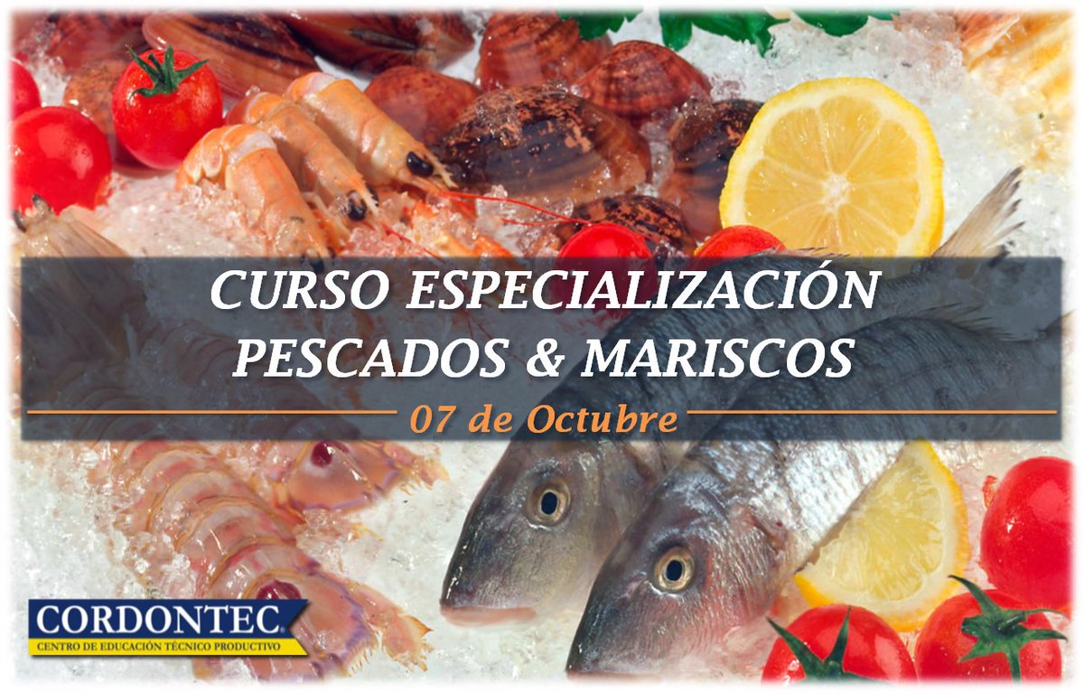 CordontecPeru's tweet photo. CURSO DE ESPECIALIZACIÓN EN PESCADOS &amp; MARISCOS! En este curso aprenderás técnicas, manipulación, recetas y mucho más. Separa tu Vacante YA! https://t.co/T2MM8fZHKu