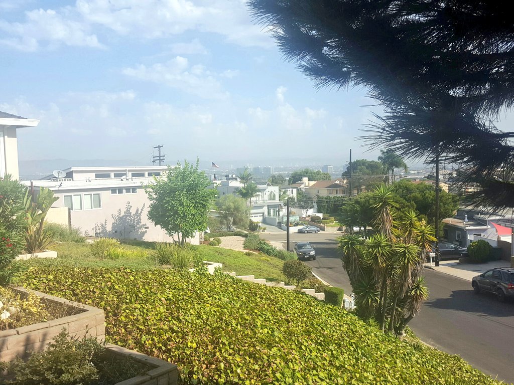 Born2BCoder's tweet photo. Good Morning #LosAngeles  ! Its a Beautiful day to #Code xD xD #CoderLife #Vrtify #LiveToWin https://t.co/SqMV7i27Iz