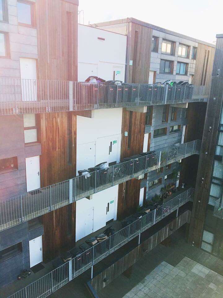 weheartpicture's tweet photo. Cleaners came and left...Rubbish standards eh? @SBHGLondon what to do? @EalingCouncil @HousingOmbuds #issigonishouse https://t.co/FBmYRjMrRz