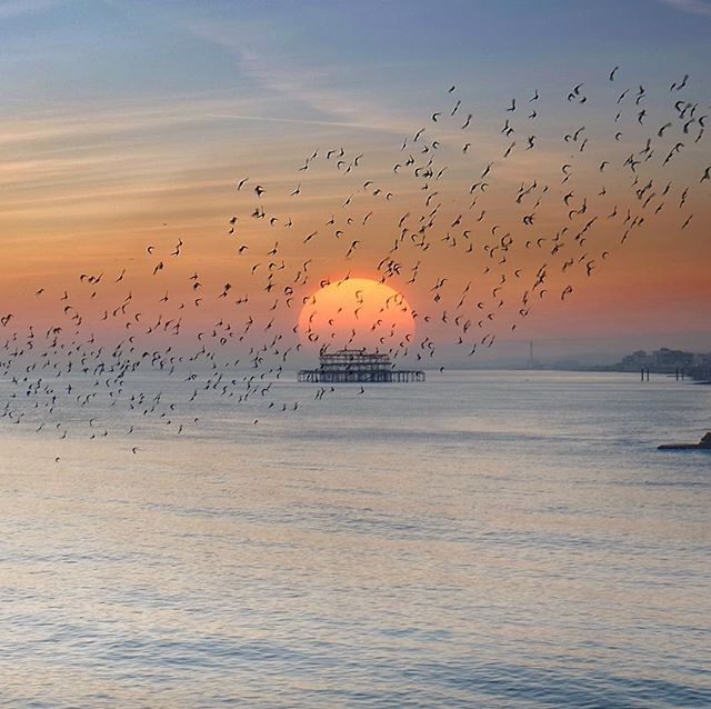 WestPierTrust's tweet photo. Sunsets don't get better than this #repost Solly Levi #brighton #westpier https://t.co/thkEeKndrg