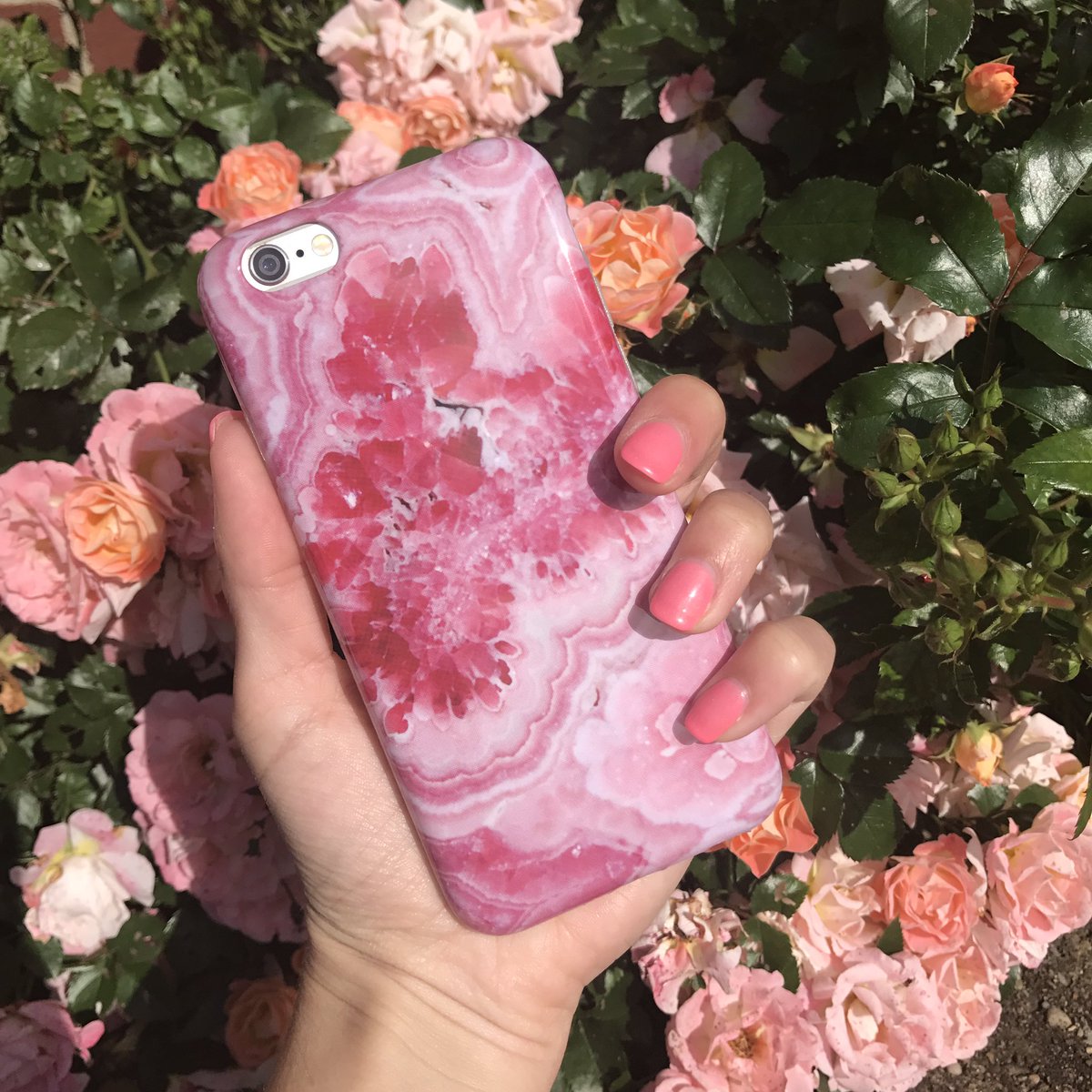 shopbellalunaa's tweet photo. *rts to drop subtle hints*😍 https://t.co/KXbA7LJwBR