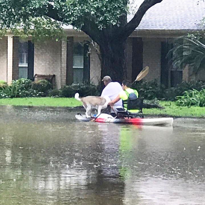 gdlchouston's tweet photo. Holder, GDLC student, took his kayak out this morning to help people evacuate their homes. WTG, Holder! #lovingasaservant https://t.co/EdjiVxGzS5