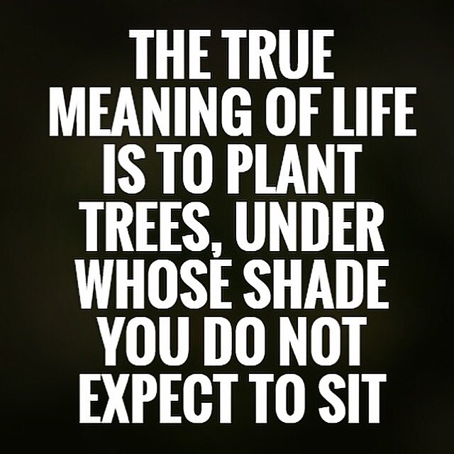🌲NeverExpectAnything!!!🌲 #YoullAlwaysBeDisappointed #Guaranteed #TryPlantingTrees