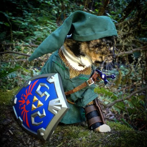 FreedomNLmcn's tweet photo. Hiyah! #NintendoNL https://t.co/ZlXytgWtS5