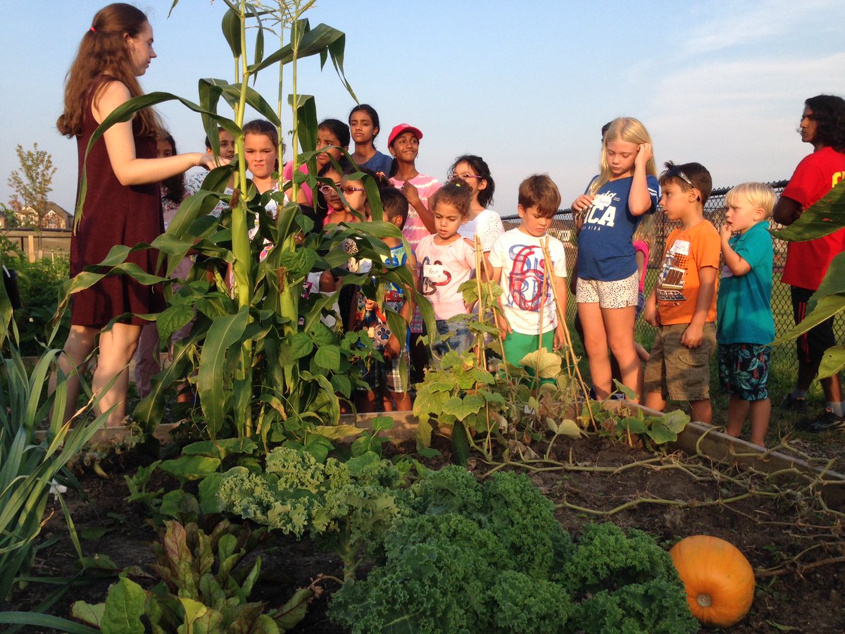 YRFoodNetwork's tweet photo. Sensational Salad workshop for the Generations Growing community garden program #Stouffville #GrowbackThursday #LocalFood https://t.co/bOPosVAikA