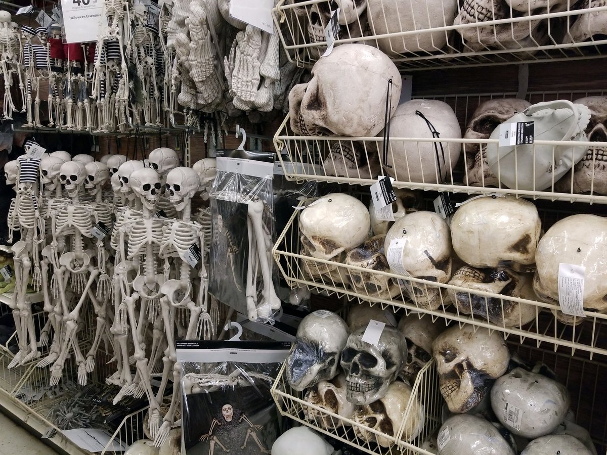 bombsfall's tweet photo. The famous "Catacombs of Paris" https://t.co/XFYPekPq3O
