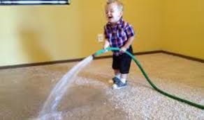 TheArkLabs's tweet photo. It is kind of like this - but not as cute
#waterdamage #ArkLabs #DRiY https://t.co/SVX8GazJXn