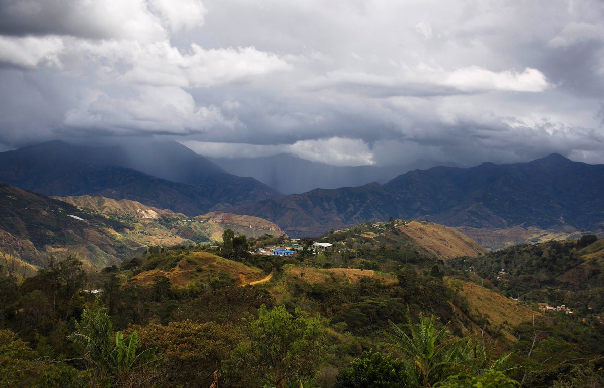 Case Coffee Roasters tweet media