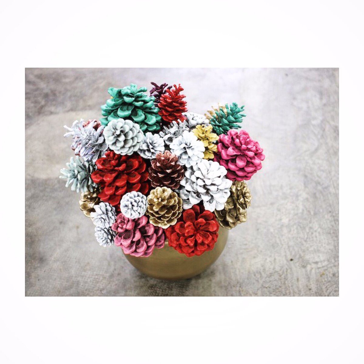 Flores que dan piñones? 
Feliz día mundial de los frutos secos! 😀