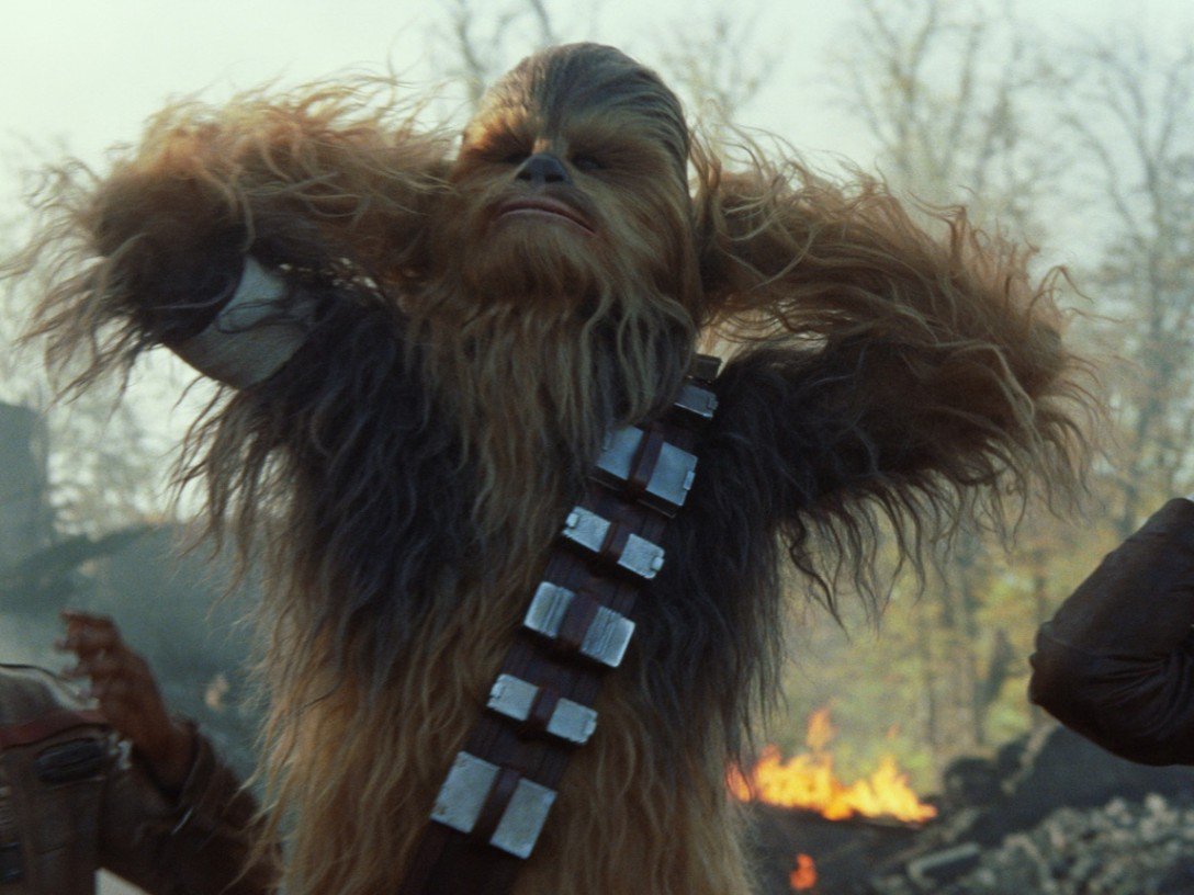 StopWPrincess's tweet photo. #LazinessIn4Words    No time for pants

#ActuallyHeIsNotCold  #TheWookieeWins #StarWars
#NobodyElseGetsAwayWithThat
@TheWookieeRoars https://t.co/15ZKPdCJOd