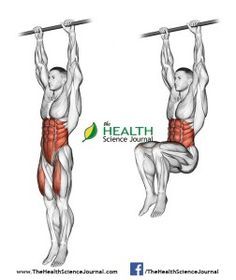 FitnessClub_US's tweet photo. All About Abs – 66 Exercises in Pictures! Bodybuilding, Calisthenics &amp; Yog... - https://t.co/Hp2nXrMWGk - 

#bodybuilding #bodybuildingmo... https://t.co/FYb255ReNr