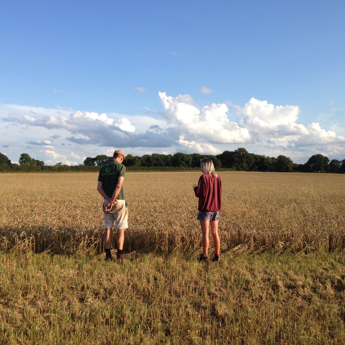 Future Farm Lab tweet media