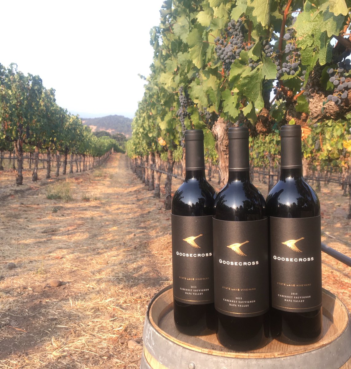 Happy Cabernet Sauvignon Day! We'll be celebrating with our 2013 State Lane 🍇🍷#CabernetDay #NapaValley #cabernetallday #toogoodnottoshare