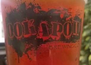 PhilValys's tweet photo. Ookapow, West Palm Beach's first craft-beer brewery, debuts this weekend. Info: https://t.co/h4ozPDV68z https://t.co/wdEuqynyiS
