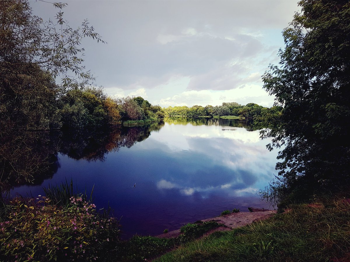 limerickcitybiz's tweet image. One of the joys of living in #Limerick is the fact that scenes like this greet you every evening. And only 10 mins walk from city centre.