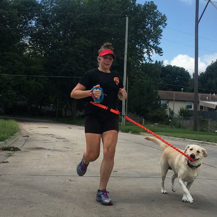 livinglovingrun's tweet photo. A long lunch break = catch up on miles #runch @stuntpuppy #drycollar #BibChat
•
@FunRunBox #FRBTeamDoxie https://t.co/z8msTludrk