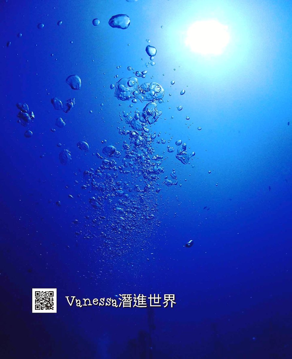 ট ইট র Maldives Wonderland 我們常說潛水是在水裡吐泡泡 一點都沒錯 呼吸吐氣時口中吐出一顆顆透明的氣泡 光看就少女心大噴發 有沒有想過氣泡也是一個很特別的拍攝主題 Vanessa潛進世界