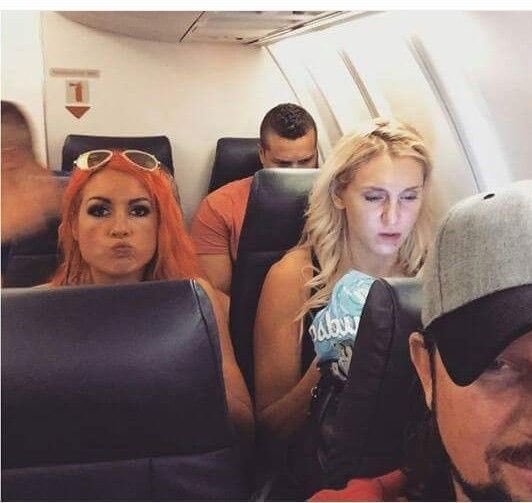 TenaciousTaker's tweet image. 