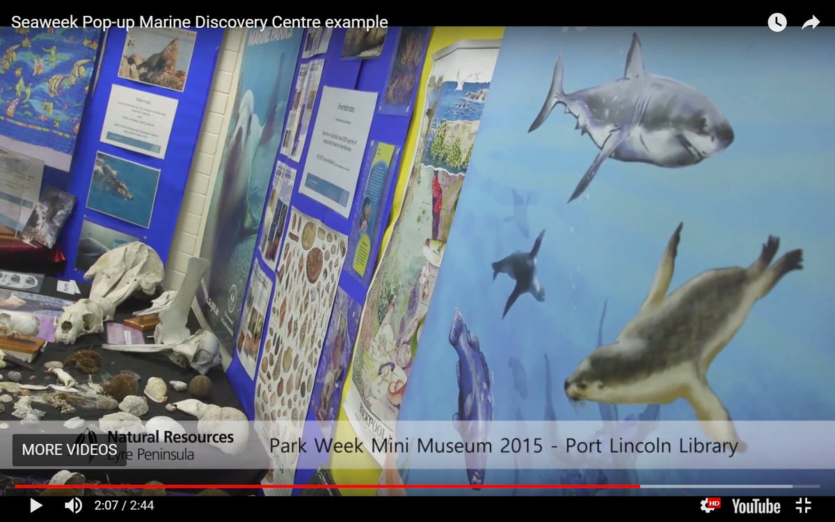 envirosanews's tweet photo. #SeaWeek2017 begins Monday. You are invited to @EPNRM Pop-Up Marine Discovery Centre at Port Lincoln Library. https://t.co/CIJhZxTnPU https://t.co/oZiG2nhXVc