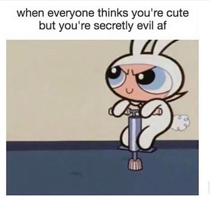 VirulentFelon's tweet image. This is @Clarabelle_SP