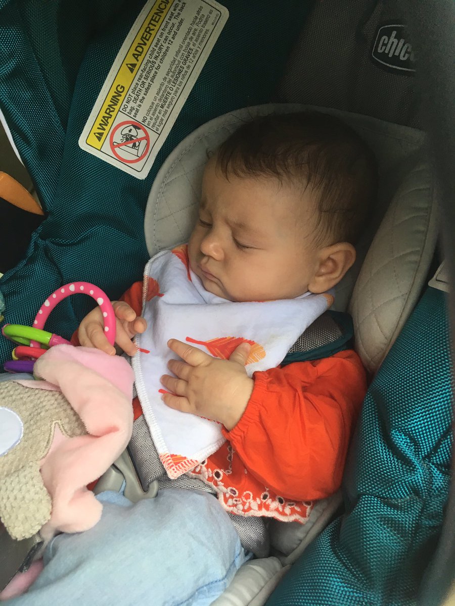 Danielle Peters tweet media