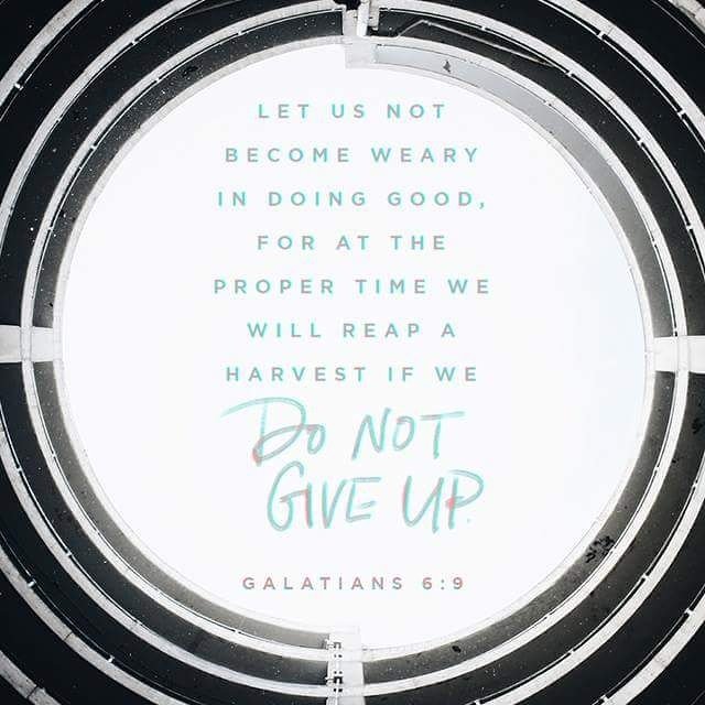 ButlerStreetCME's tweet image. Do Not Give Up! Source: @YouVersion 
bible.com/bible/116/GAL.…
#afternoontea