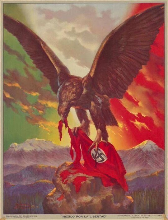 CDR_Chakotay's tweet photo. @Hahleeman1 @TXBOY361 @FUCKTRUMPBLOTUS @thinkprogress @realDonaldTrump We are #Latinos you #Fucknut; you know; the folks that you wanna #WallOff... 🙄 https://t.co/buW8w9QiN0