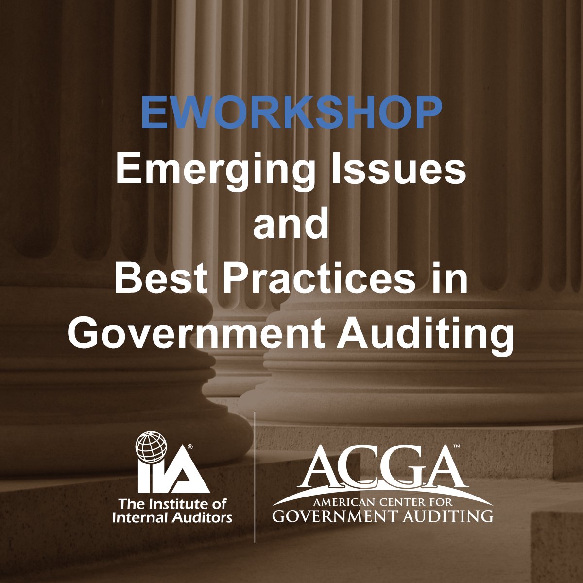 IIA_ACGA's tweet photo. Determine the imminent emerging issues and some on the horizon facing government #audit organizations. | @TheIIA | https://t.co/5wkCYYJb74 https://t.co/EmJI8Un6Ou