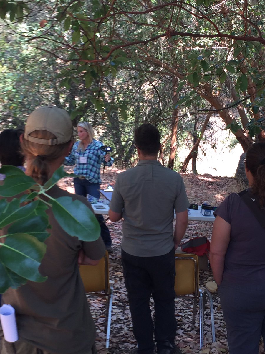 HoplandREC's tweet photo. Demonstration time at our living with wildlife workshop. #e-shepherd, #foxlights #guardiandogs #projectcoyote #mountainlionfoundation https://t.co/JQ08C48buu