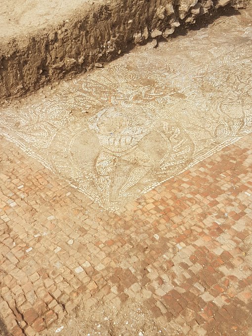 View image on Twitter