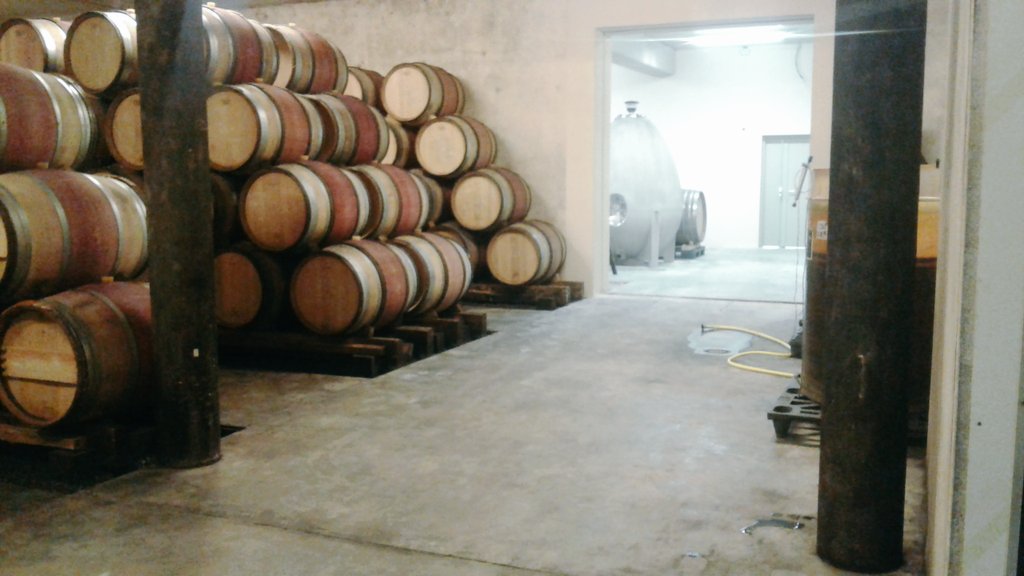 pg_benavides's tweet photo. Bonjour!!!!! Vendange 2017, Valle du Rhône Francia.
Muy Feliz 🍷🍷🍷☝@KalosWines @agus_debernardi @juanilosada https://t.co/w1OhEZBnmr