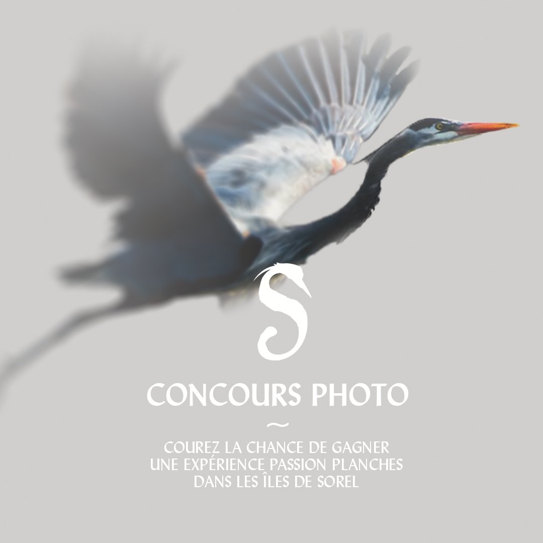 STATERA EXPÉRIENCE tweet media