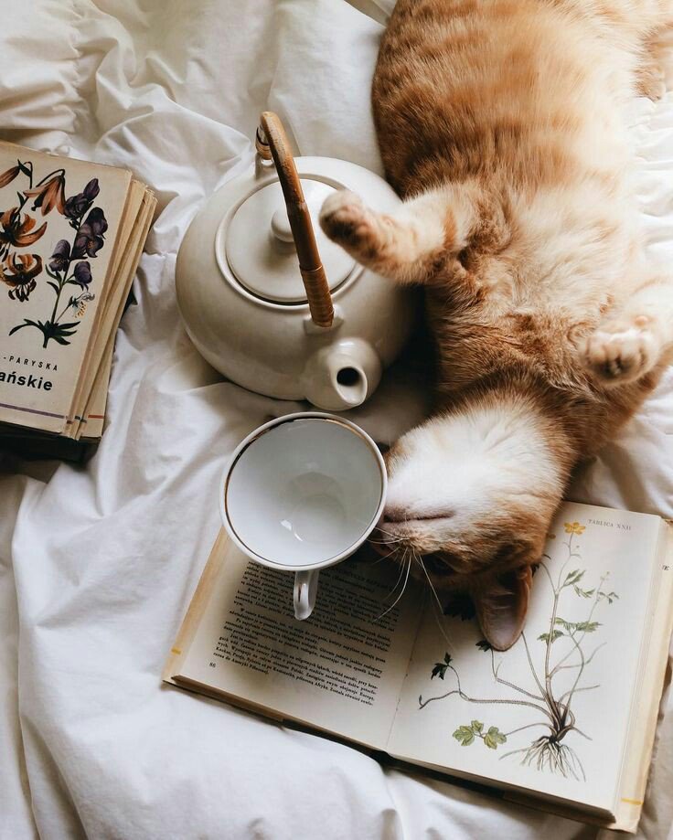 LadyofRunes's tweet photo. [ #MODERNGOT] https://t.co/psRzCczSZQ