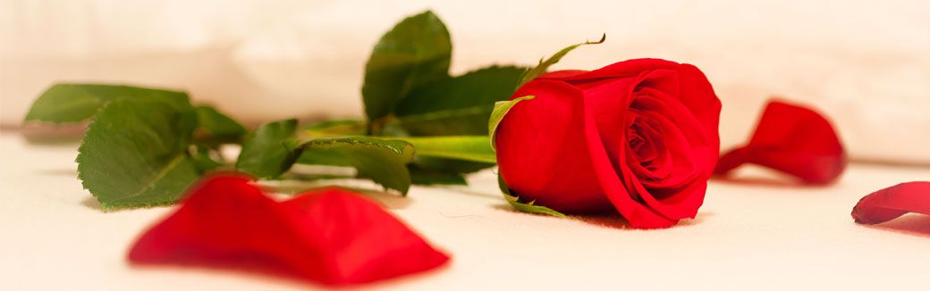 AETucson's tweet photo. Get creative in the bedroom #adult #tucson #summersale #AESummersale #couples #romantic #bedroom #fun #creative #hot https://t.co/HKCajECrdm https://t.co/4bZwGgY9Qr