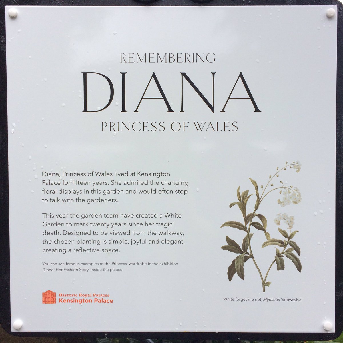 MooreMundi's tweet photo. The White Garden at Kensington Palace is a beautiful living memorial to #Diana20 https://t.co/jYeit3aHTC