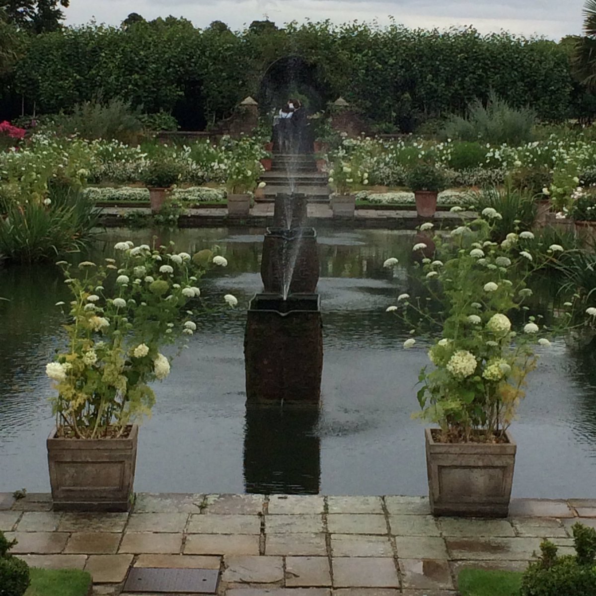 MooreMundi's tweet photo. The White Garden at Kensington Palace is a beautiful living memorial to #Diana20 https://t.co/jYeit3aHTC