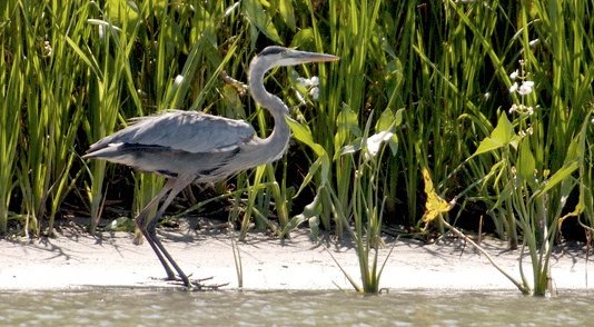 STATERA EXPÉRIENCE tweet media