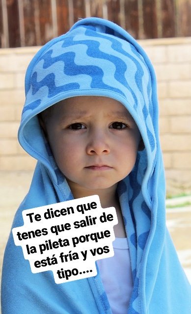 solarpoolarg tweet picture
