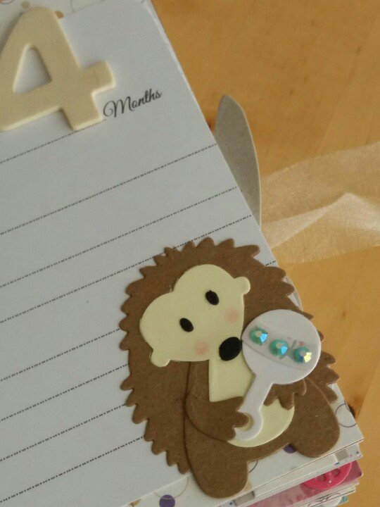 card_bear tweet picture