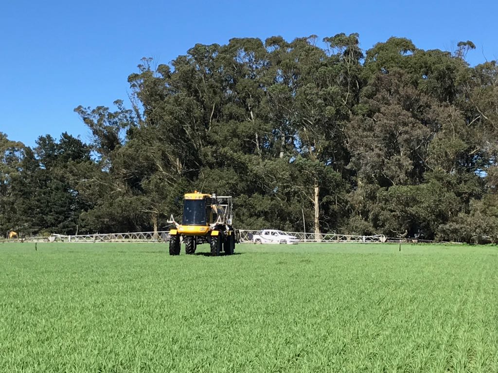 CuthillAgro's tweet photo. Parte del equipo de #Cuthill controlando #aplicaciones de fungicidas en cebada 🌾🌾 #LasTalas #Fulton #BuscandolosMejoresResultados https://t.co/7Mia8oZGZr