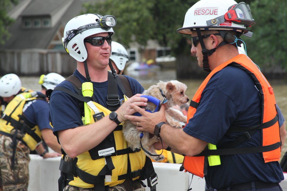 Two search and rescue workers in helmets hold a small dog as one hands it to the other.