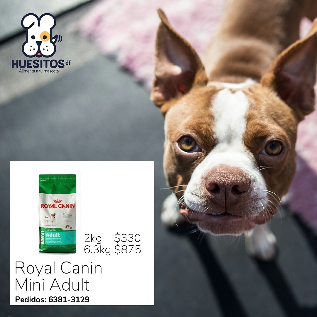 Huesitos DF tweet media