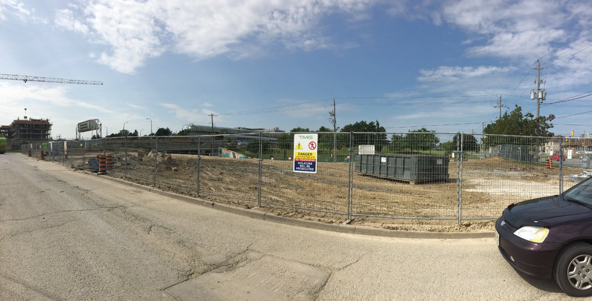 Josh Colle tweet media