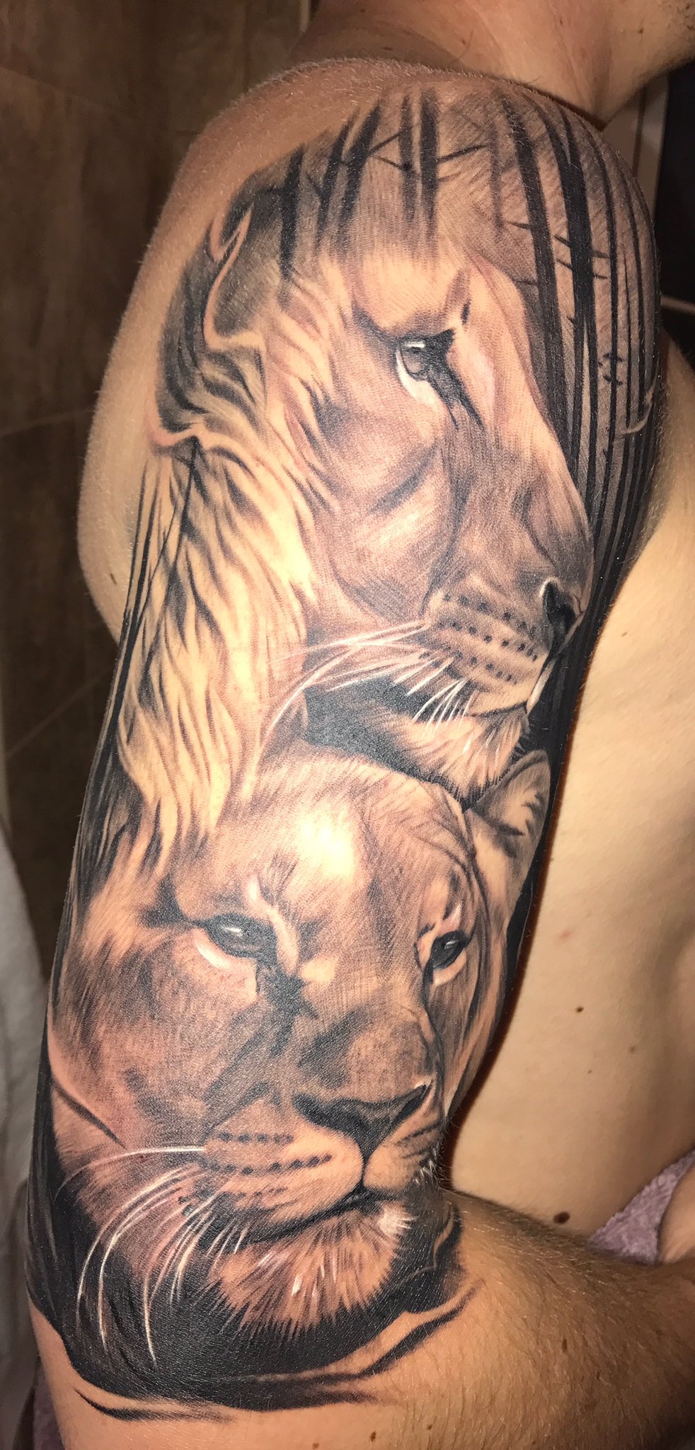 Lioness Tattoo  Ace Tattoo